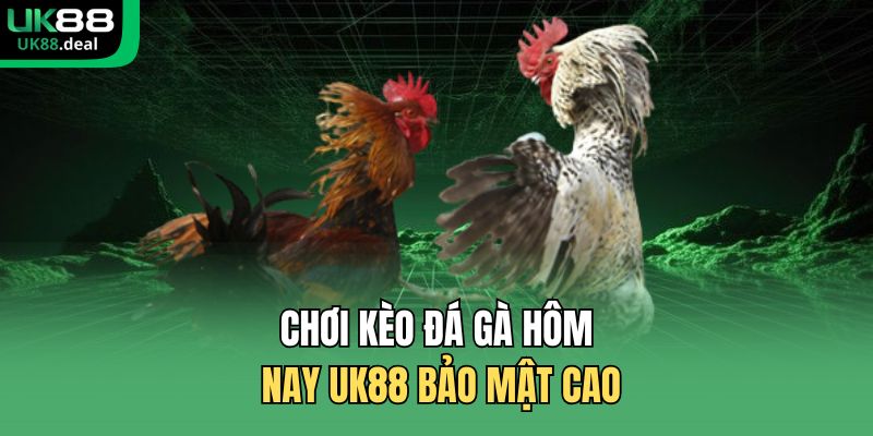 Chơi kèo đá gà hôm nay UK88 bảo mật cao
