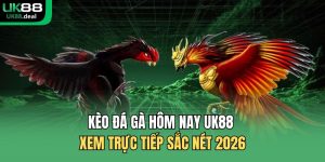 Kèo đá gà hôm nay UK88