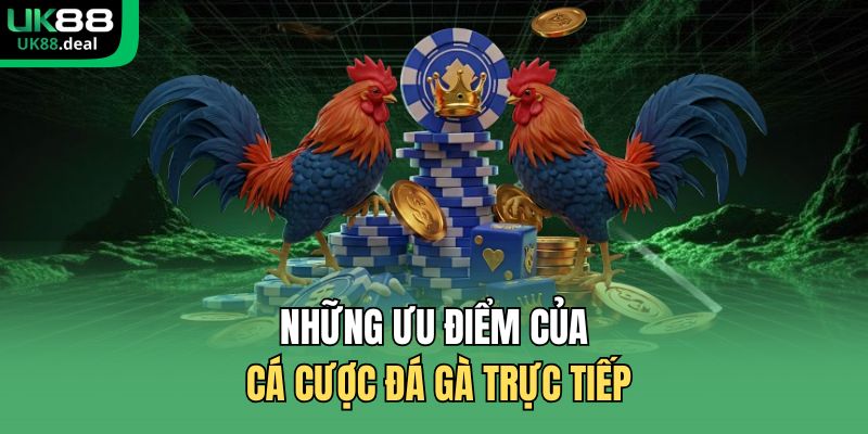 Những ưu điểm của cá cược đá gà trực tiếp